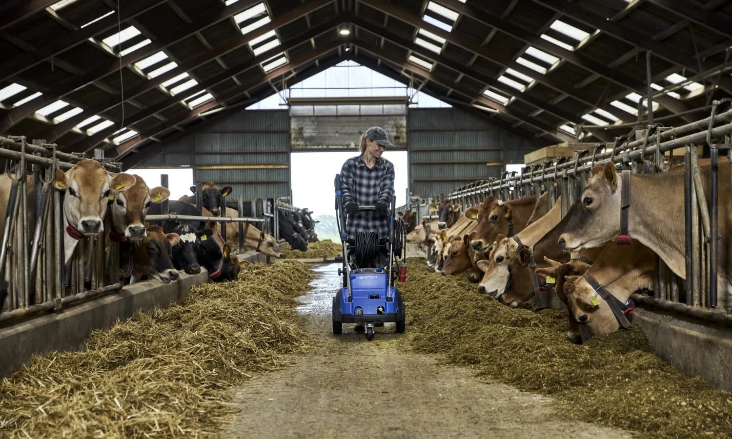 Nilfisk MC 5M professional pressure washer used in agriculture