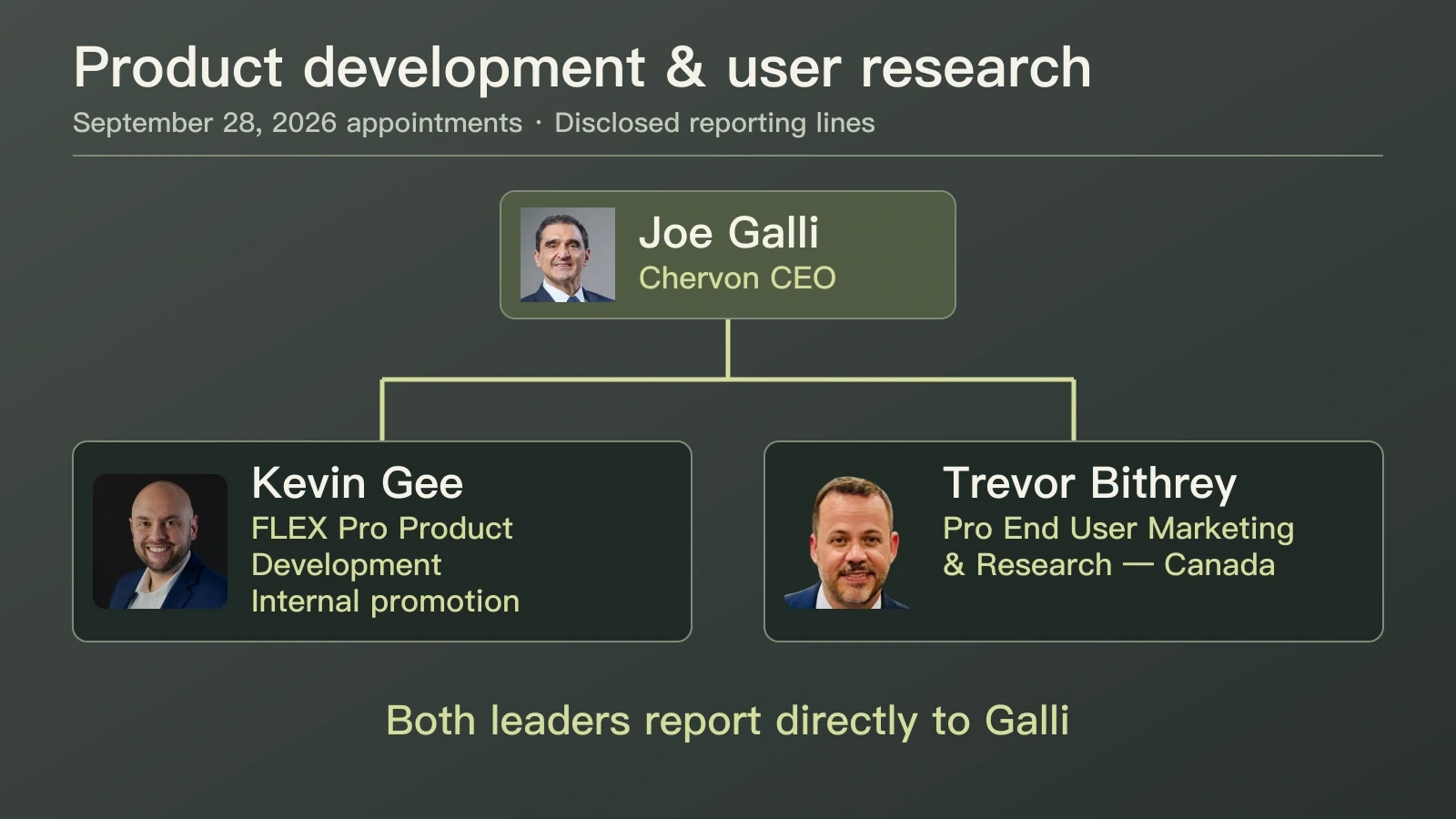 Kevin Gee leads FLEX professional product development and Trevor Bithrey leads Canadian professional end-user marketing and research; both report directly to Joe Galli.