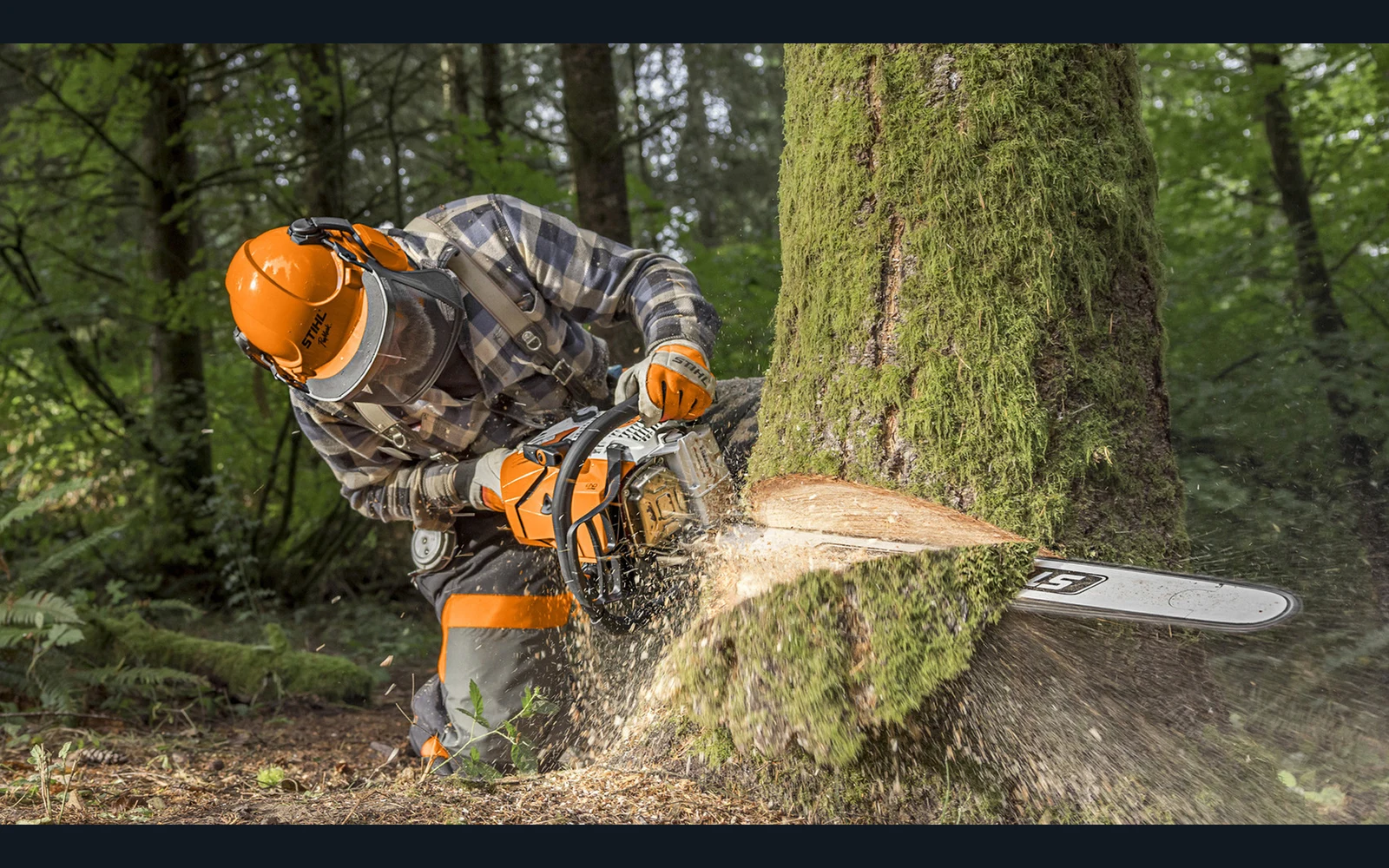 STIHL chainsaw in professional forestry use