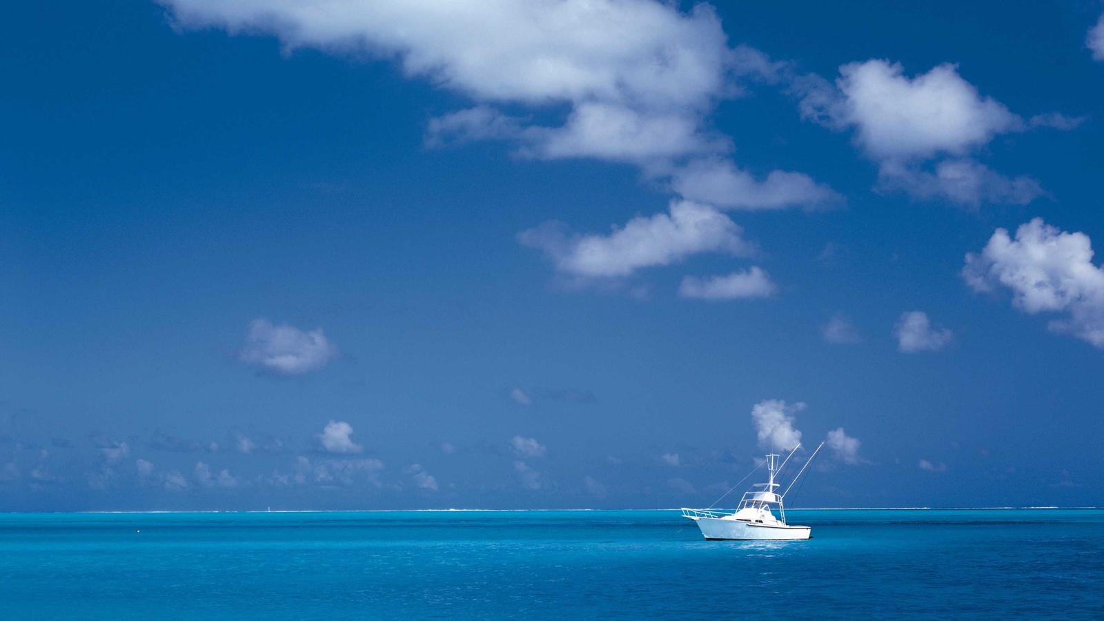 Anker’s Shallow-Sea Strategy Is Really a Talent and Platform Strategy