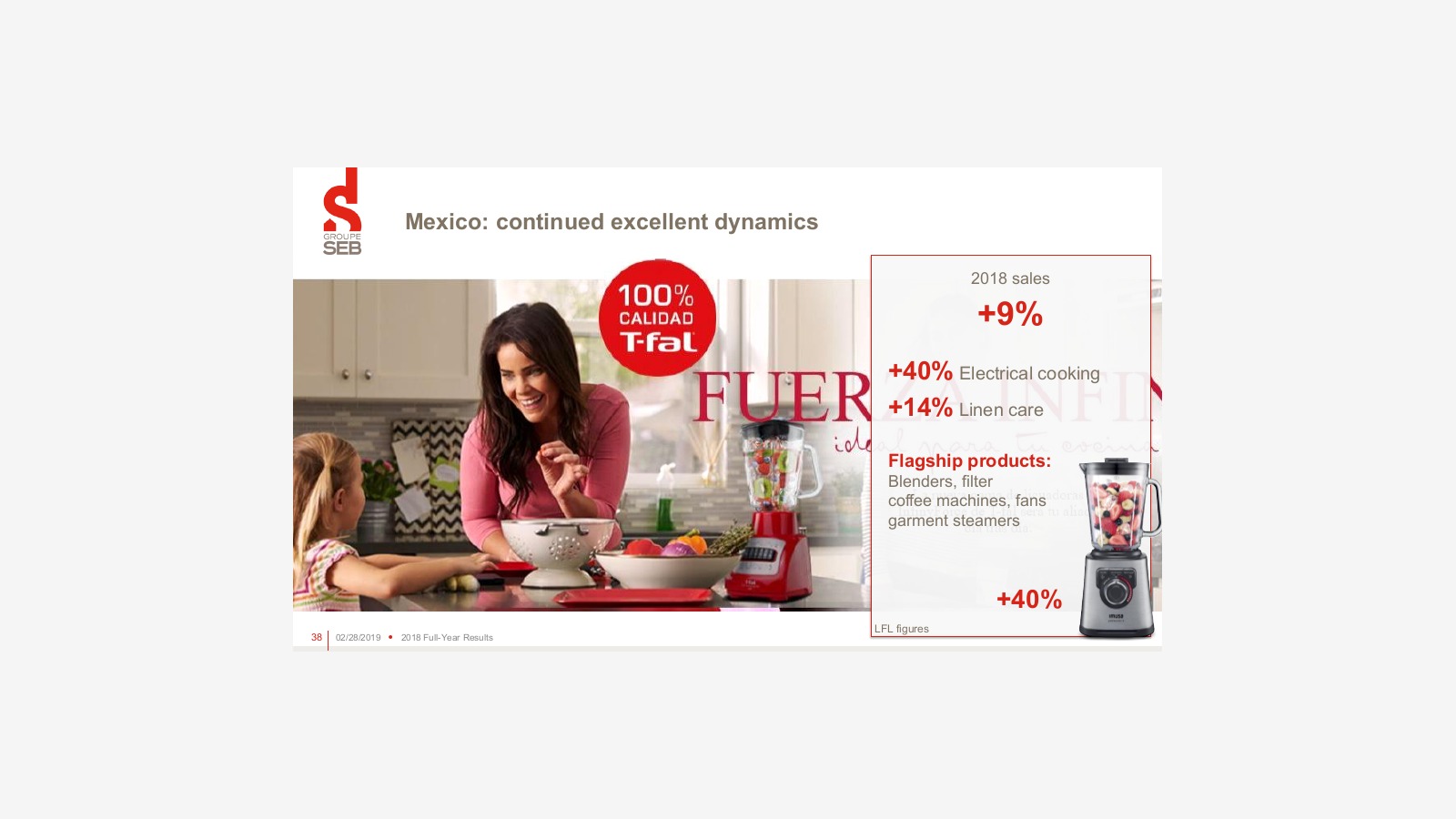 Groupe SEB’s 2018 Report and the Logic of a Global Small Appliance Giant image 30