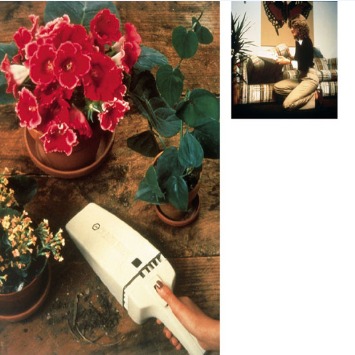 Article image 20