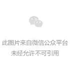 Article image 12